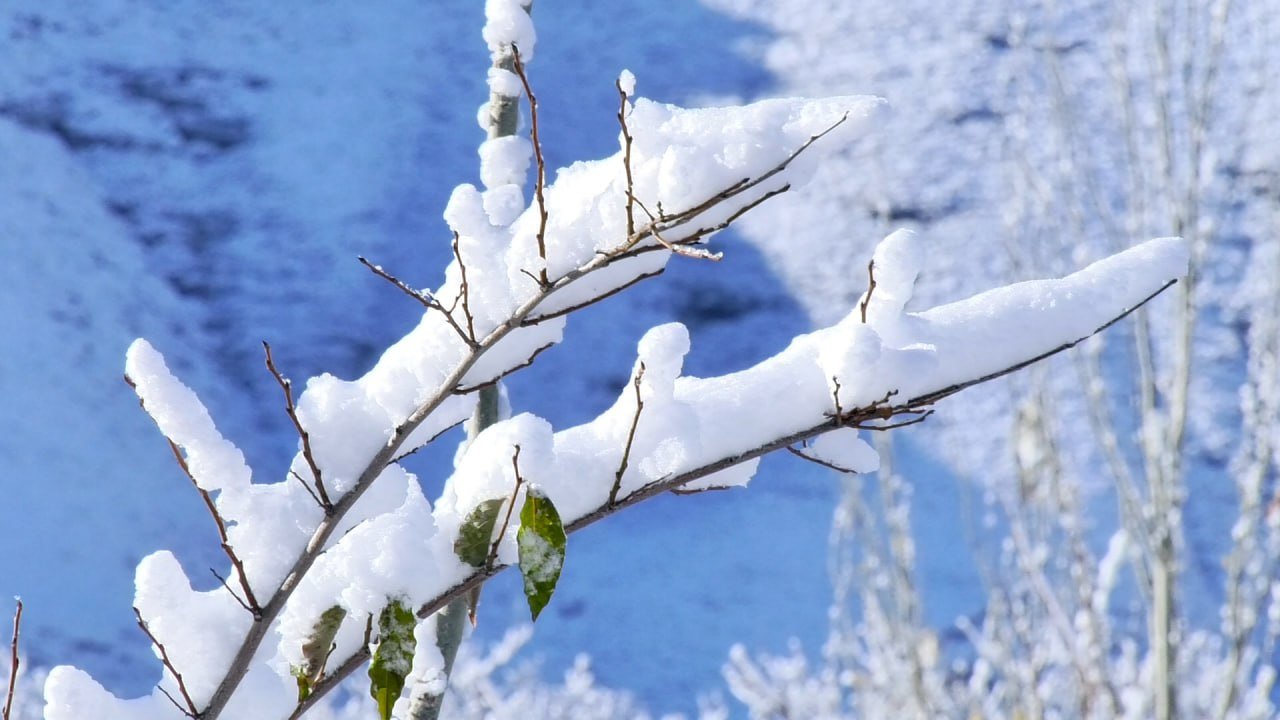 Бугун водийни қандай об-ҳаво кутмоқда?